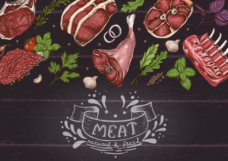 Horizontal background with different color meats in sketch style. Vector illustration for your designのイラスト素材