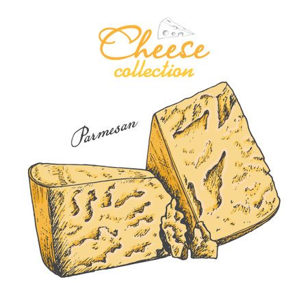 Vector background with cheeseのイラスト素材