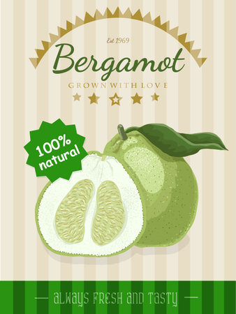 Vector poster with a bergamotのイラスト素材