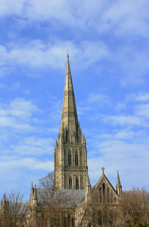 Portrait image of Salisbury Cathedral, Wiltshire England. View from Bishop Wordsworth's School.の写真素材