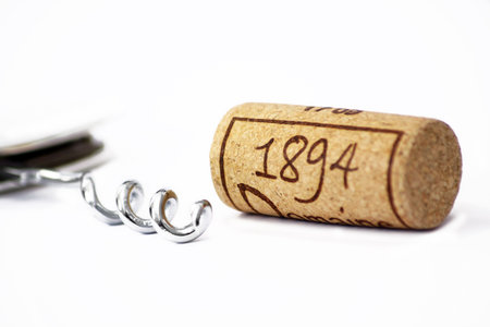 A freshly pulled cork from a wine bottle set on an isolated white background with the end of a silver corkscrew visible.の写真素材