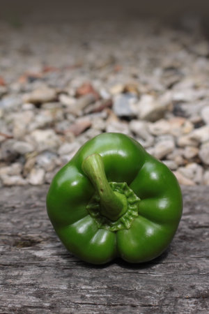 A single green pepper viewd from its front end  Set on a portrait format on a wooden base の写真素材