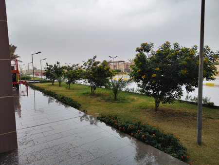 Nature after rain, Tropical flower garden in a rainy day in the city.の写真素材