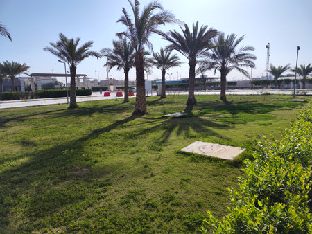 Palms and grass form a beautiful landscape in the garden in the hospital's outer courtyardの写真素材