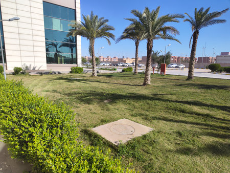 Palms and grass form a beautiful landscape in the garden in the hospital's outer courtyardの写真素材