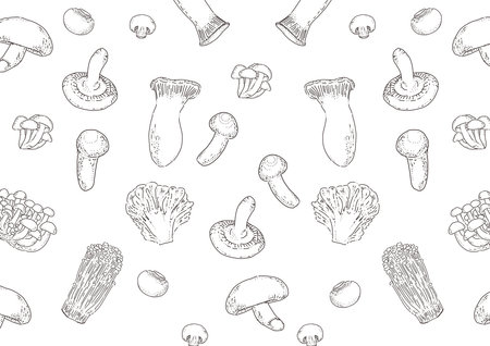 Background illustrations of many kinds of mushrooms.(white black)のイラスト素材
