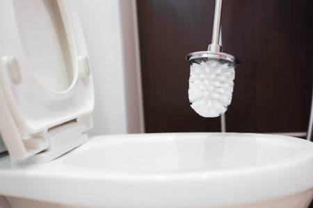 A woman cleans a bathroom toilet with a scrub brush.の写真素材