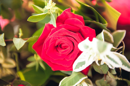 wedding bouquet, bouqet of beautiful flowers on wed dayの写真素材