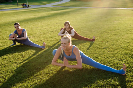 a group of adult women attending yoga outside in the parkの写真素材