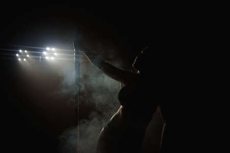 Young sexy woman exercise pole dance. Fitness.の写真素材