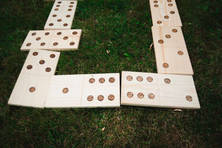 Outdoor games - dominoes in the park on the green grass.の写真素材