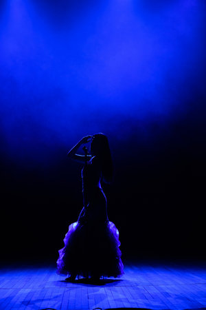 Silhouette of singer on stage. Dark background, smoke, spotlights.の写真素材