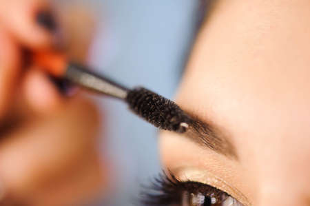 Beautiful brunette woman paints the eyebrows. Beautiful woman face. Makeup detail. Beauty girl with perfect skin.の写真素材