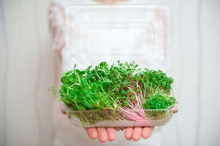 Vegan and healthy eating concept. Mix of microgreens for salad.の写真素材