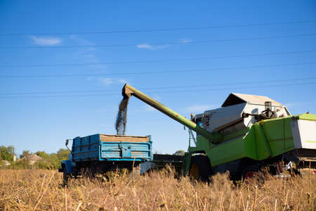 Harvester in a field for harvesting in autumn.の写真素材