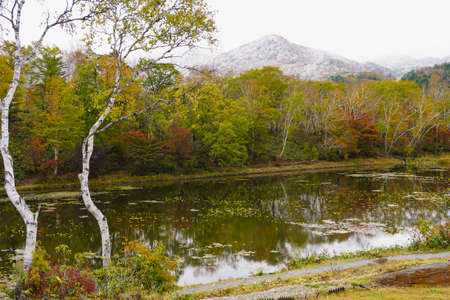 View from the lotus pond in Shiga Kogen. The birch on the shore of the lake and the leaves on the opposite bank are colored. Rime on trees can be seen in the distant mountains.の写真素材