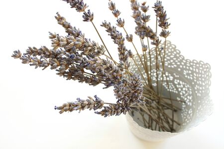 lavender bouquetの写真素材
