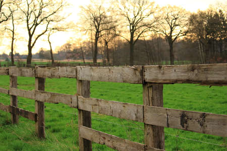 Horse fence in Münsterlandの写真素材