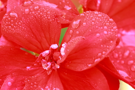 Bluetentraumの写真素材