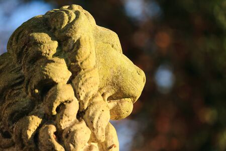 Statue a lion in the sunshine