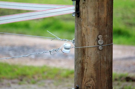 Pasture fence made of ribbon and barbed wire