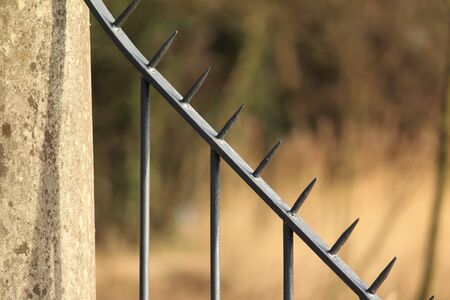 forged fence with spikes