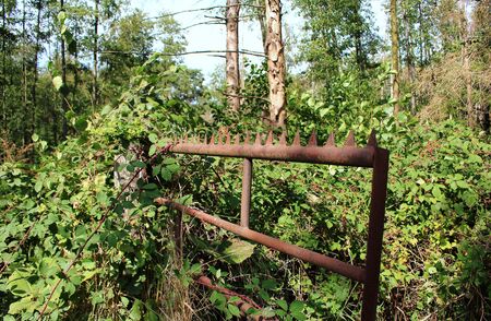 Old gate in the countrysideの写真素材