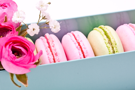 macaroonsの写真素材