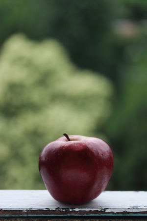 red appleの写真素材