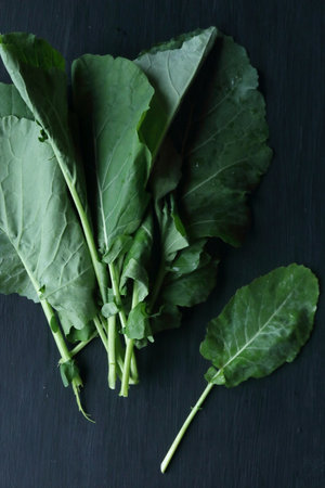 Black cabbage, kale on a black backgroundの写真素材