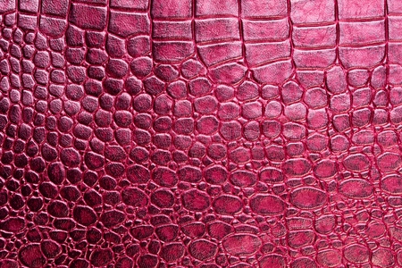 Red leather texture background. Copy space for text.の写真素材