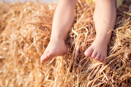 Close up of bare baby feet with ears of wheat as a background. Sunny summer day. On open air.の写真素材