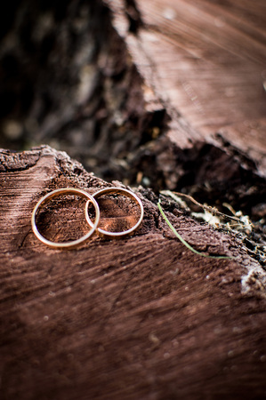 Wedding rings lying on a tree stump in the woods. Wedding accessories on a wooden background. Gold.の写真素材