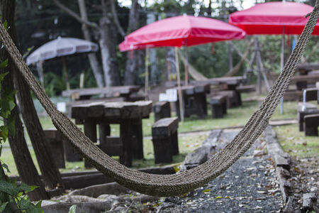 hammock in the garden in coffee shopの写真素材