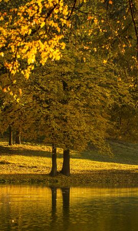 Beautiful colors of autumn landscape by the lakeの写真素材
