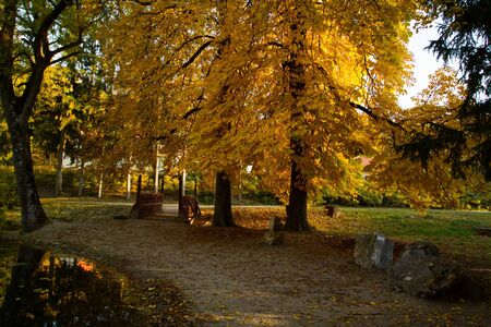Beautiful colors of autumn landscape with roadの写真素材