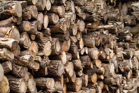 Winter firewood stacked in a pileの写真素材