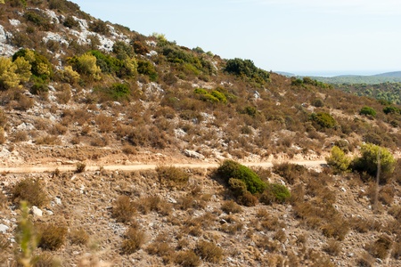 rocky scrubby landscape from vis island (croatia)