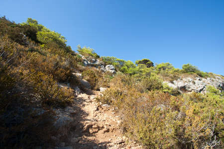 rocky scrubby landscape from vis island (croatia)の写真素材