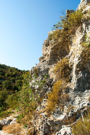 rocky scrubby landscape from vis island (croatia)の写真素材
