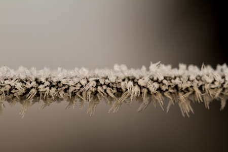 wire fence texture with hoarfrost overlayの写真素材