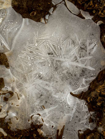 ice in the frozen earthの写真素材