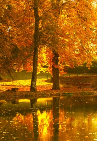 Beautiful colors of autumn landscape by the lakeの写真素材