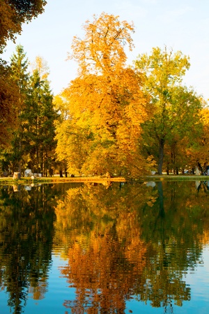 Beautiful colors of autumn landscape by the lakeの写真素材