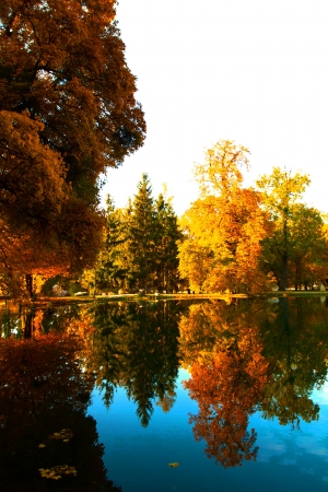 Beautiful colors of autumn landscape by the lakeの写真素材