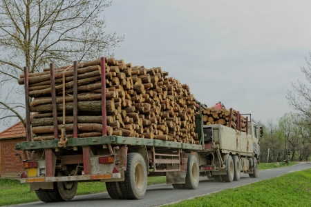 timber truck carryingの写真素材
