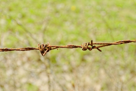 barbed Wire fence in front of the green meadowの写真素材