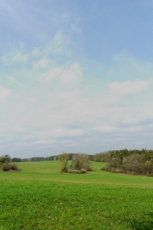 green meadow under a blue cloudy skyの写真素材