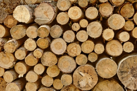 Pile of chopped fire wood prepared for winterの写真素材