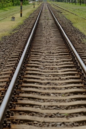 pair of railway track in the greenの写真素材